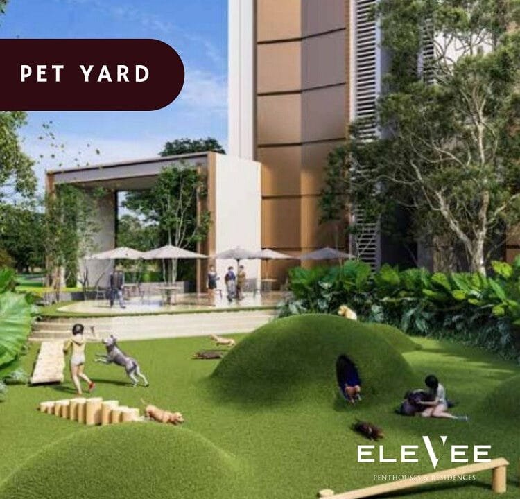 pet-garden